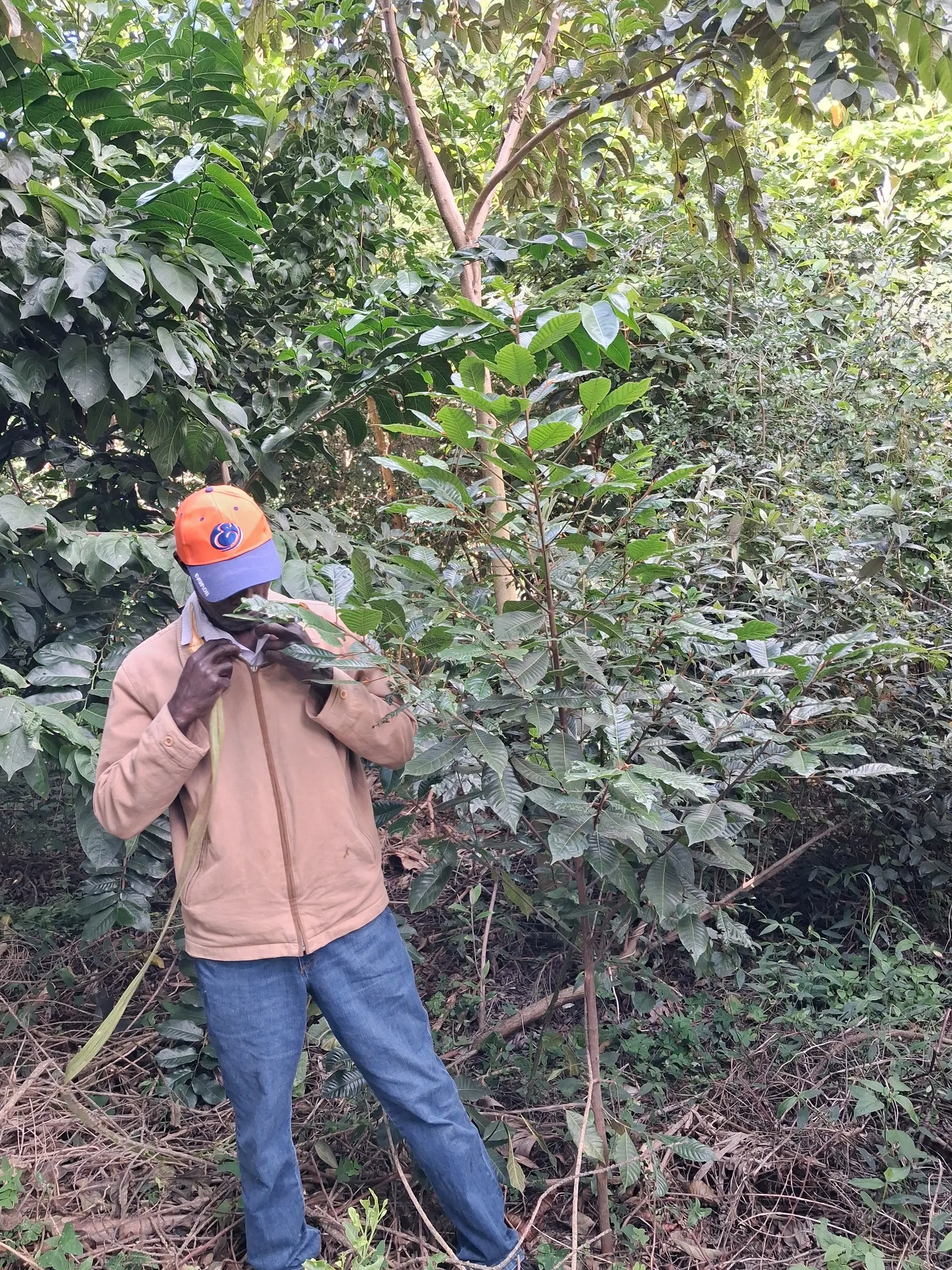 Gooka Botanical Gardens, Karen